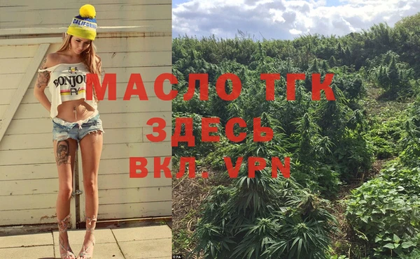 твердый Арсеньев