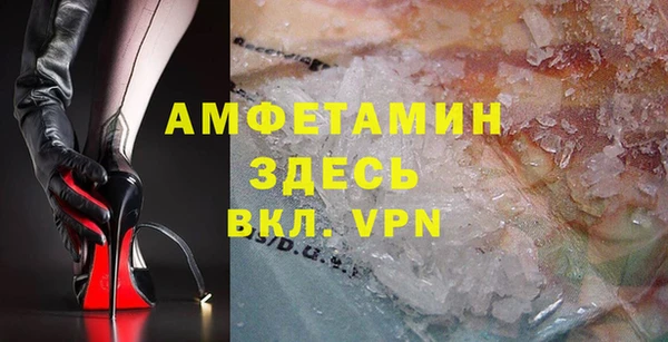 твердый Арсеньев
