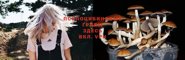 твердый Арсеньев